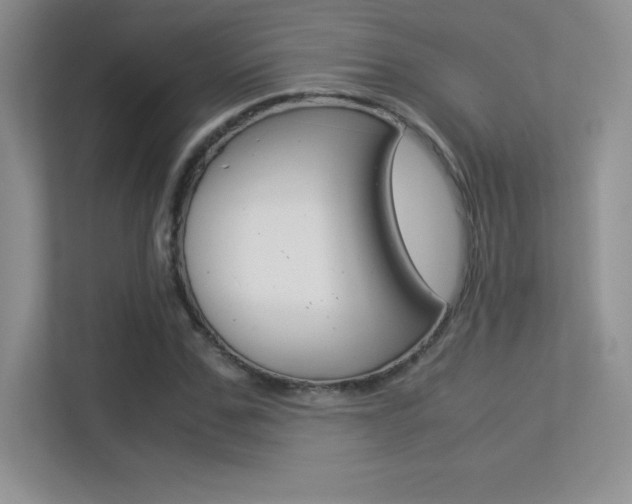 X0000113330971200909141004