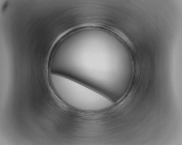 X0000113330980200909141004