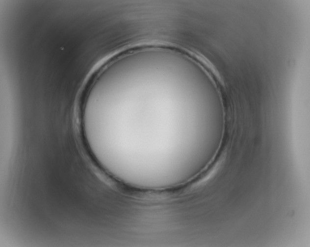 X0000113330981200909141004