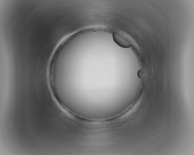 X0000113330989200909141004