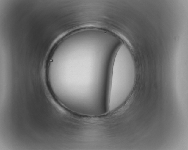 X0000113330991200909141004