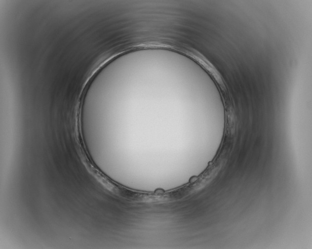 X0000113331002200909141003