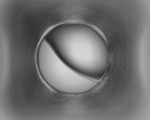 X0000113331005200909141003