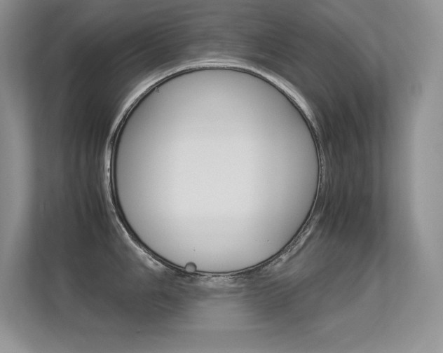 X0000113331006200909141003