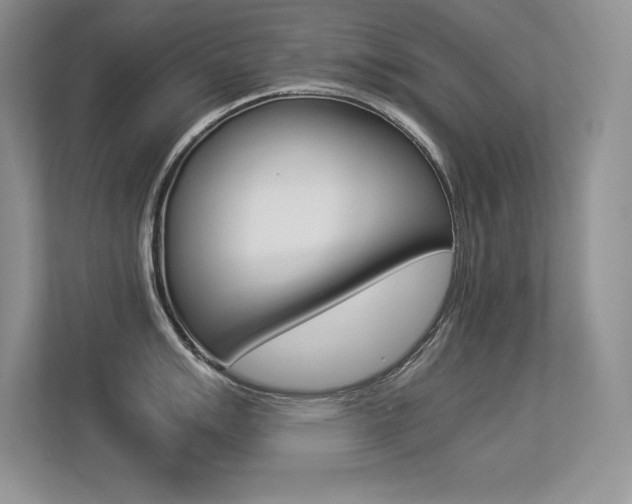 X0000113331007200909141003