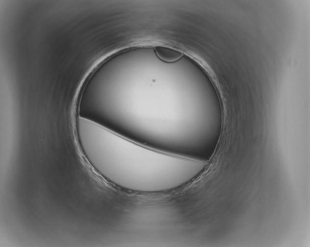 X0000113331008200909141003
