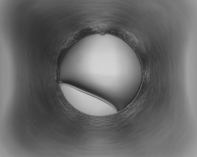X0000113331012200909141003