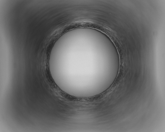 X0000113331014200909141003