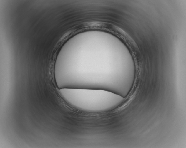 X0000113331017200909141003