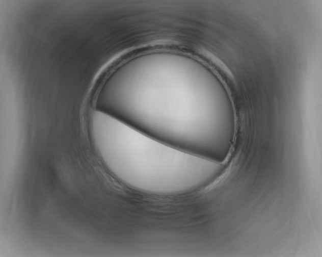 X0000113331021200909141003