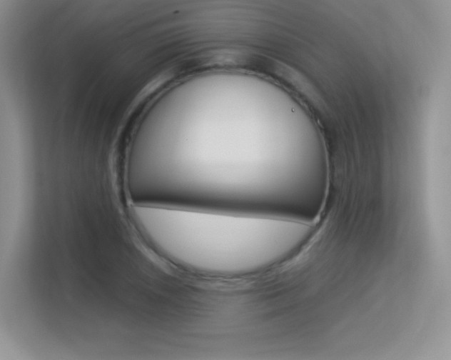 X0000113331026200909141003