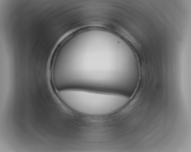 X0000113331028200909141003