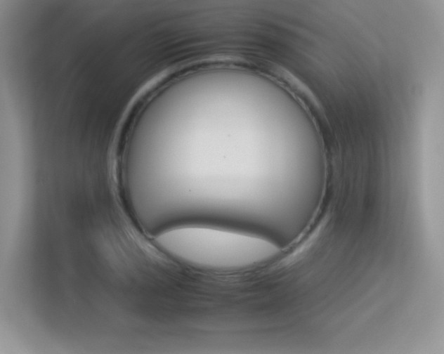 X0000113331029200909141003