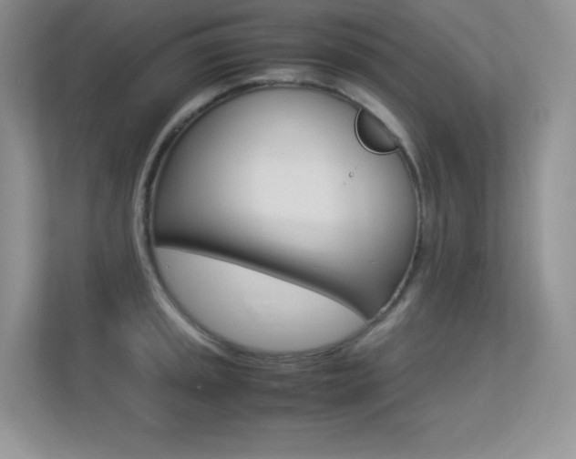 X0000113331045200909141003