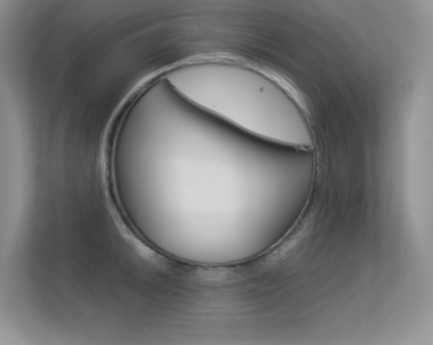 X0000113331046200909141003
