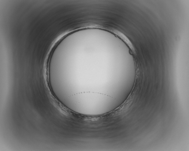 X0000113331051200909141003