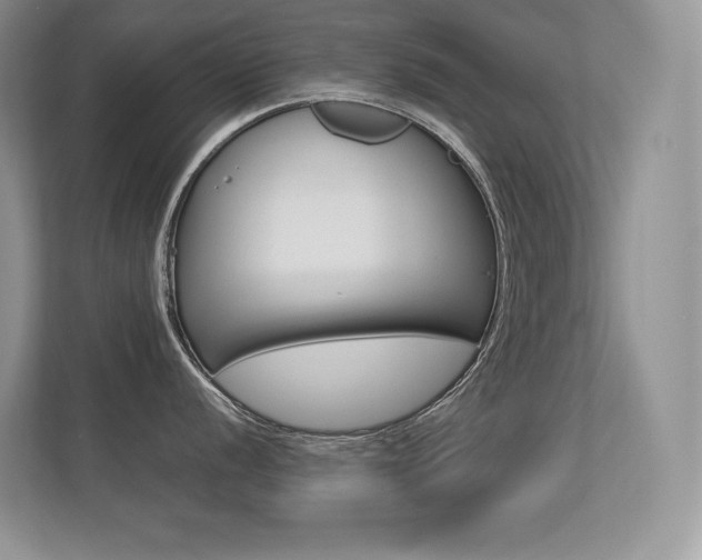 X0000113331056200909141003