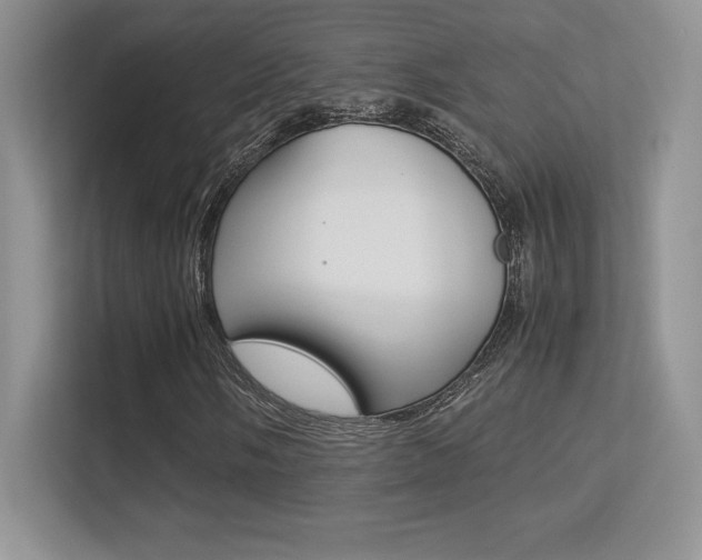 X0000113331058200909141003