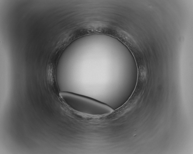 X0000113331060200909141003