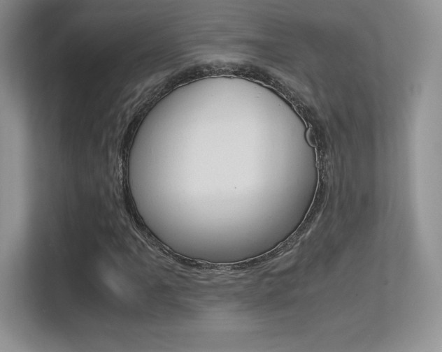 X0000113331061200909141003