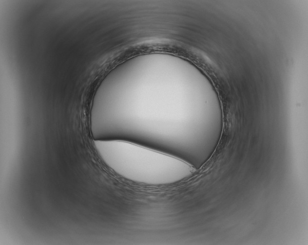 X0000113331062200909141003