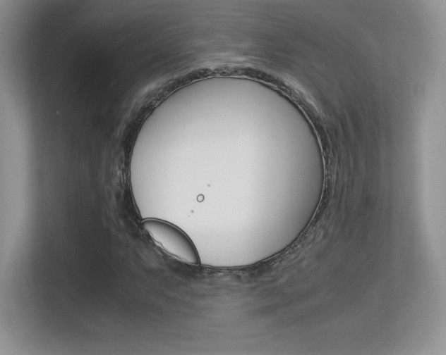 X0000113331063200909141003