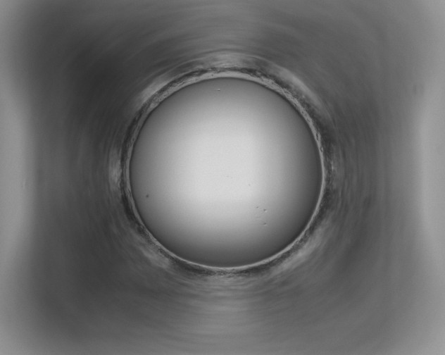 X0000113331065200909141003