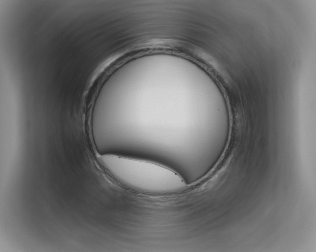 X0000113331066200909141003