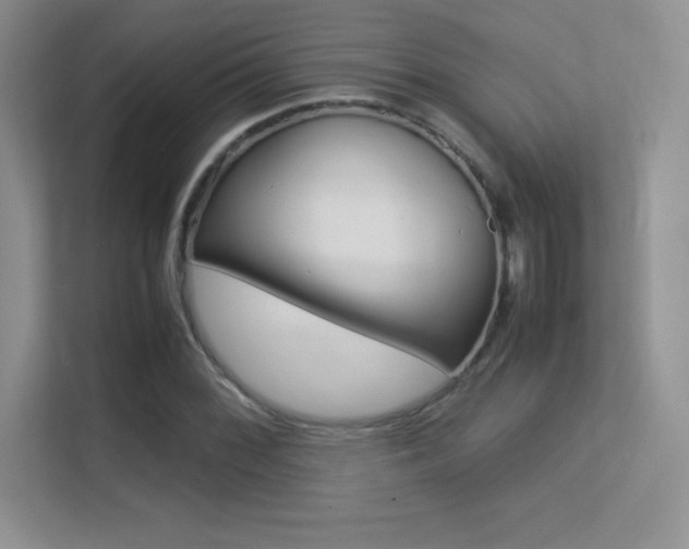 X0000113331068200909141003