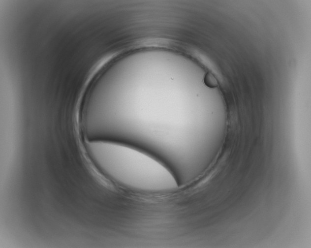 X0000113331082200909141002