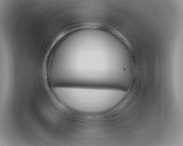 X0000113331083200909141002
