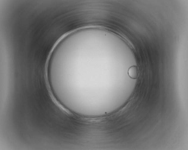 X0000113331084200909141002