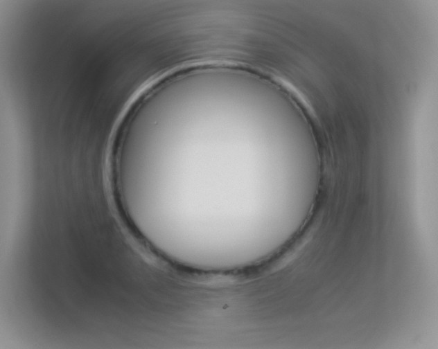X0000113331085200909141002