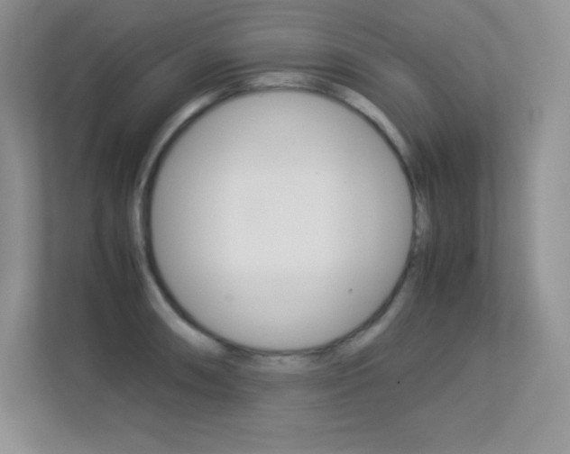 X0000113331090200909141002