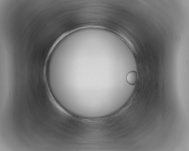 X0000113331092200909141002