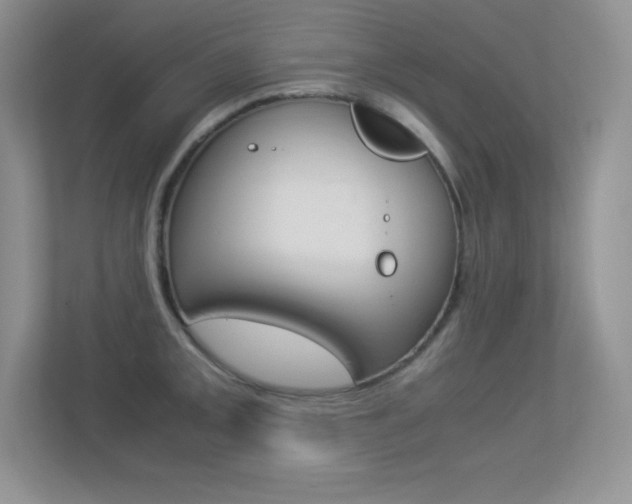 X0000113331093200909141002