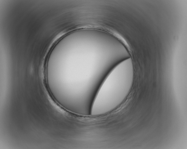 X0000113331095200909141002