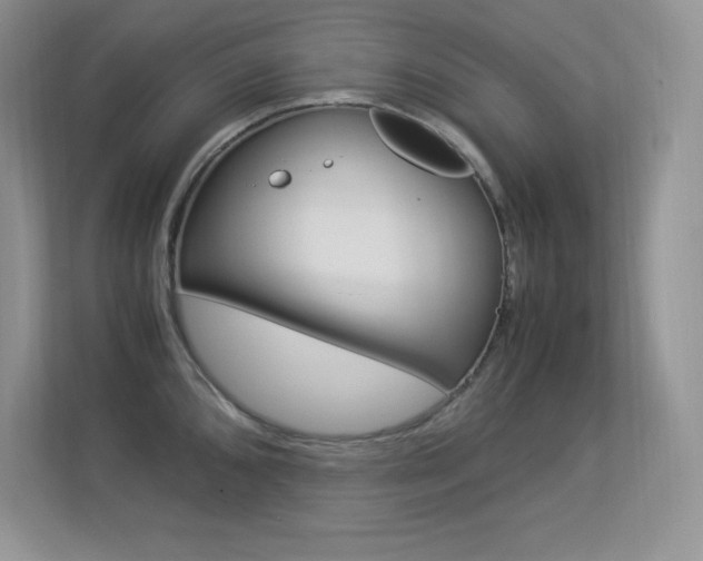 X0000113331096200909141002