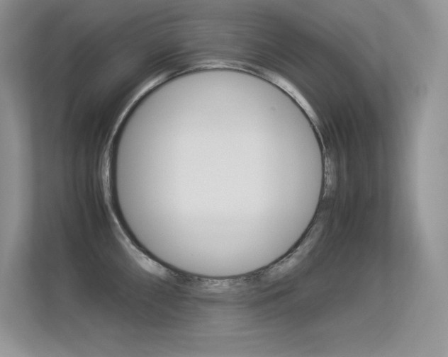 X0000113331098200909141002