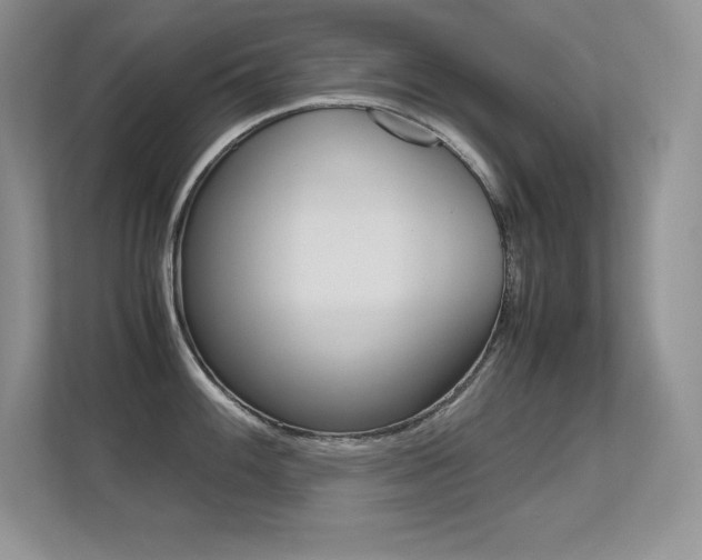 X0000113331100200909141002