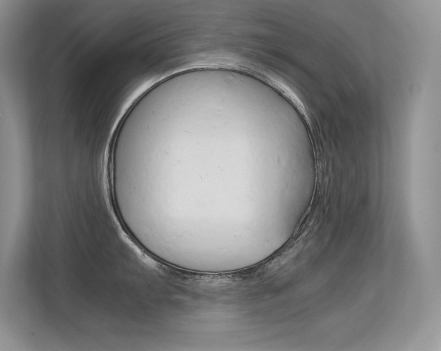 X0000113331103200909141002