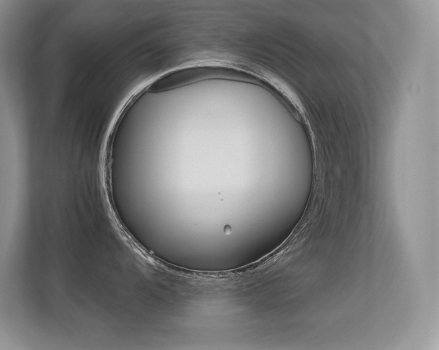 X0000113331104200909141002