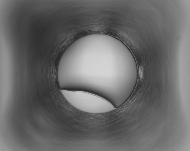 X0000113331107200909141001