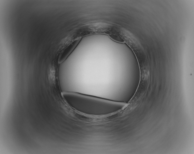 X0000113331108200909141001
