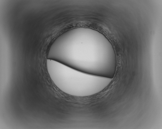 X0000113331109200909141001