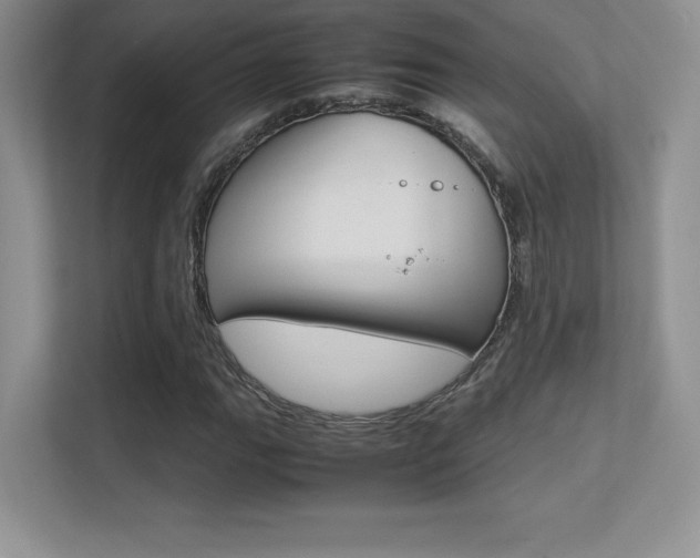 X0000113331111200909141001