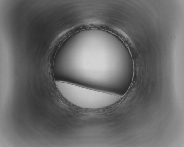 X0000113331112200909141002