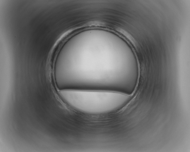 X0000113331115200909141002