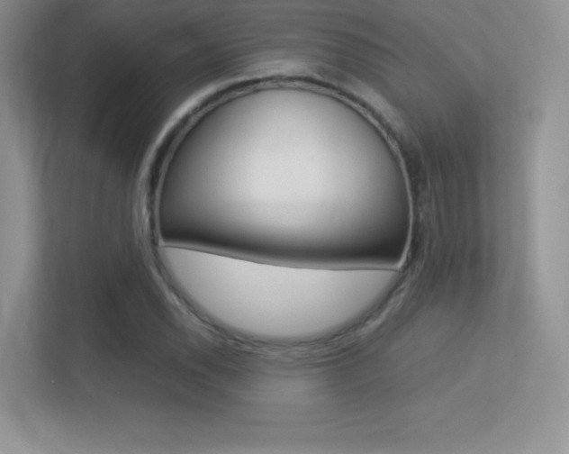 X0000113331118200909141002