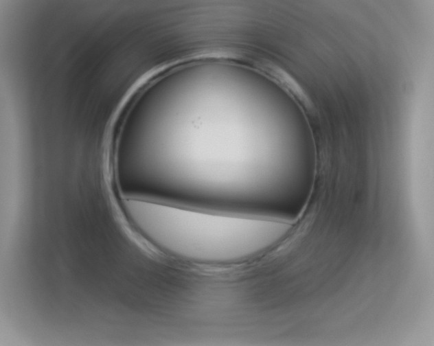 X0000113331132200909141002